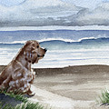 Cocker Spaniel at the Beach Painting by David Rogers Cocker Spaniel at the Beach Painting by David Rogers