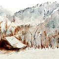 Cold Cove by Seth Weaver Cold Cove by Seth Weaver
