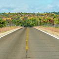 Color At Roads End by Paul Johnson