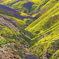 Color Valley by Peter Tellone Color Valley by Peter Tellone