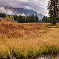 Colorado Fall Colors 3 Digital Art by Lena Owens Colorado Fall Colors 3 Digital Art by Lena Owens