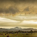 Colorado Grazing Photograph by James BO Insogna Colorado Grazing Photograph by James BO Insogna