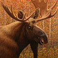Colorado Moose Painting by James W Johnson Colorado Moose Painting by James W Johnson