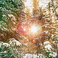 Colorado Rocky Mountain Snow and Sunshine Photograph by James BO Insogna Colorado Rocky Mountain Snow and Sunshine Photograph by James BO Insogna