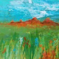 Colorado Spring by J Bauer Colorado Spring by J Bauer