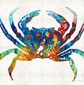 Colorful Crab Art by Sharon Cummings Painting by Sharon Cummings Colorful Crab Art by Sharon Cummings Painting by Sharon Cummings