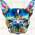Colorful French Bulldog Dog Art By Sharon Cummings Painting by Sharon Cummings Colorful French Bulldog Dog Art By Sharon Cummings Painting by Sharon Cummings
