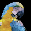 Colorful Glass Parrot Digital Art by Phil Perkins Colorful Glass Parrot Digital Art by Phil Perkins