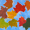 Colorful leaves by Vitali Komarov Colorful leaves by Vitali Komarov