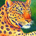 Queen of the Jungle - Colorful Leopard Painting by Rebecca Wang Queen of the Jungle - Colorful Leopard Painting by Rebecca Wang