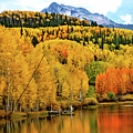 Colorful Peaceful Colorado by Susan Warren