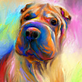 Colorful Shar Pei Dog portrait painting Painting by Svetlana Novikova Colorful Shar Pei Dog portrait painting Painting by Svetlana Novikova