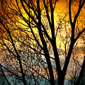 Colorful Sunset Silhouette Photograph by James BO Insogna Colorful Sunset Silhouette Photograph by James BO Insogna