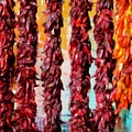 Colors of New Mexico by Barbara Chichester
