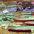 Colors on the Lily Pond Painting by John Lautermilch Colors on the Lily Pond Painting by John Lautermilch