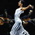 Concentracion del Funcionamiento del Flamenco Painting by Richard Young Concentracion del Funcionamiento del Flamenco Painting by Richard Young