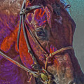 Concentration in Color Photograph by Amanda Smith Concentration in Color Photograph by Amanda Smith