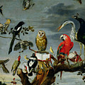 Concert of Birds Painting by Frans Snijders Concert of Birds Painting by Frans Snijders