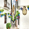 Cordoba Flower Street wide Photograph by Weston Westmoreland Cordoba Flower Street wide Photograph by Weston Westmoreland