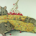 Corn Meal by Terri Mills