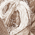 Corn Silk - Neutral Digital Art by Lori Taylor Corn Silk - Neutral Digital Art by Lori Taylor