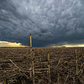 Corsica by Aaron J Groen Corsica by Aaron J Groen