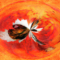 Cosmic Elements by Marla Craven