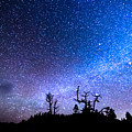 Cosmic Kind Of Night Photograph by James BO Insogna Cosmic Kind Of Night Photograph by James BO Insogna