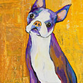 Cosmo Painting by Pat Saunders-White Cosmo Painting by Pat Saunders-White