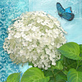 Cottage Garden White Hydrangea with Blue Butterfly Painting by Audrey Jeanne Roberts Cottage Garden White Hydrangea with Blue Butterfly Painting by Audrey Jeanne Roberts