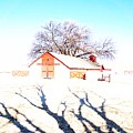 Cottonwood Ranch, Kansas Photograph by Merle Grenz Cottonwood Ranch, Kansas Photograph by Merle Grenz
