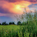 Country Colors Photograph by Kendall McKernon Country Colors Photograph by Kendall McKernon