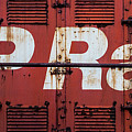 CP Rail Photograph by M G Whittingham