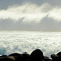 Crab Awaiting Impending Wave Photograph by Ted Keller Crab Awaiting Impending Wave Photograph by Ted Keller
