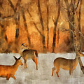 Creatures of a Winter Sunset Digital Art by Lois Bryan Creatures of a Winter Sunset Digital Art by Lois Bryan