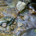 Creek on Mt Tamalpais Photograph by Ben Upham III Creek on Mt Tamalpais Photograph by Ben Upham III