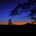 Crescent Night by C  Renee Martin