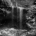 Crikfall Photograph by Curtis J Neeley Jr Crikfall Photograph by Curtis J Neeley Jr