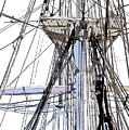 Crow's Nest Photograph by James Rentz Crow's Nest Photograph by James Rentz