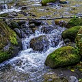 Crystal Clear Waters by Ric Schafer Crystal Clear Waters by Ric Schafer