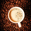 Cup And The Coffee Store by Jorgo Photography - Wall Art Gallery Cup And The Coffee Store by Jorgo Photography - Wall Art Gallery