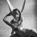 Cupid And Pysche by Daniel Koglin Cupid And Pysche by Daniel Koglin