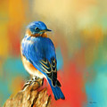 Curious Bluebird Painting by Tina LeCour Curious Bluebird Painting by Tina LeCour