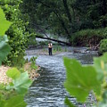 Current River 5 by Marty Koch Current River 5 by Marty Koch