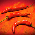 Curry Shop Art by Jorgo Photography - Wall Art Gallery Curry Shop Art by Jorgo Photography - Wall Art Gallery