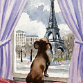 Dachshund In Paris Painting by David Rogers Dachshund In Paris Painting by David Rogers