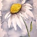Daisy Modern poster print fine art by Derek Mccrea Daisy Modern poster print fine art by Derek Mccrea