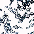 Dance Of The Treble Clef by Jorgo Photography - Wall Art Gallery Dance Of The Treble Clef by Jorgo Photography - Wall Art Gallery