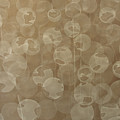 Dandelion by Jitka Anlaufova Dandelion by Jitka Anlaufova