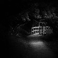 Dark Footbridge by Scott Norris Dark Footbridge by Scott Norris